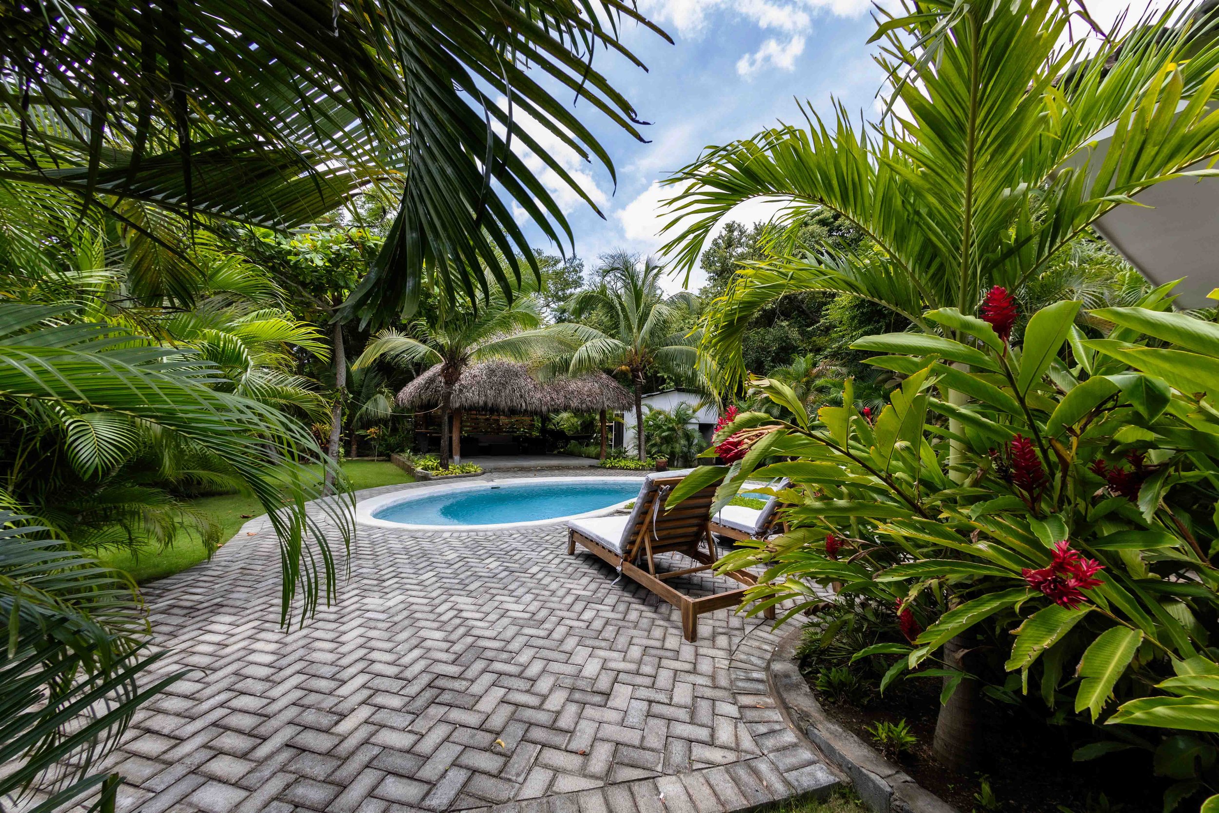 Surflink-CasitaU12-garden view of pool.jpg