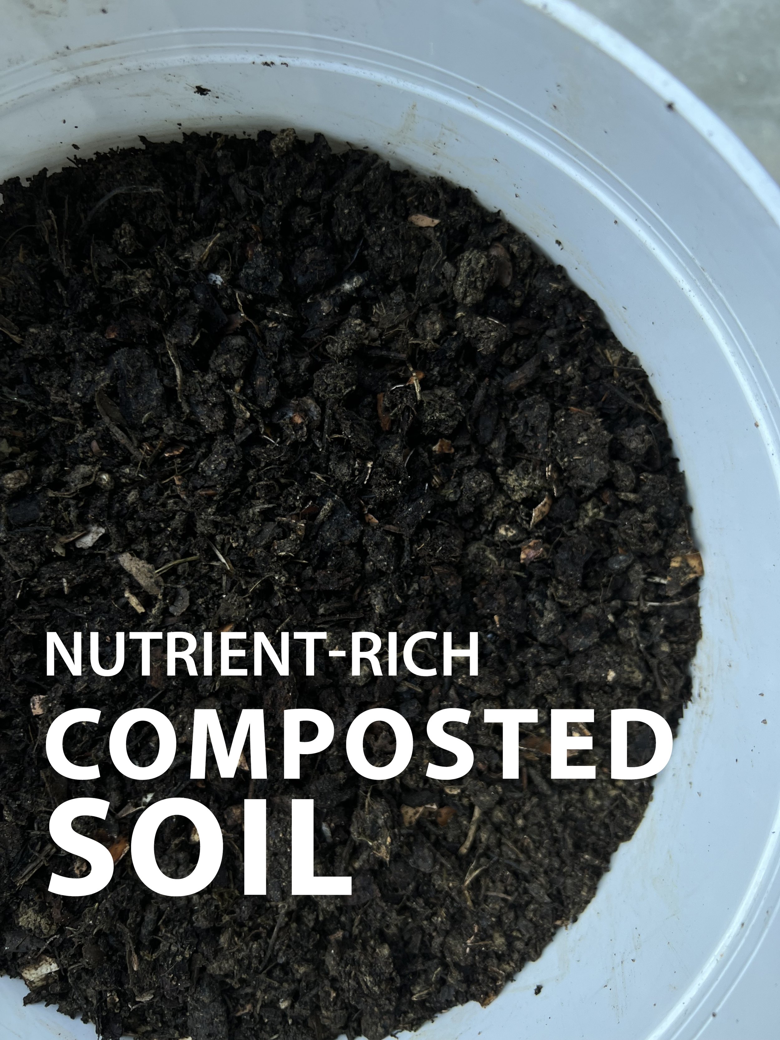 Compost Soil