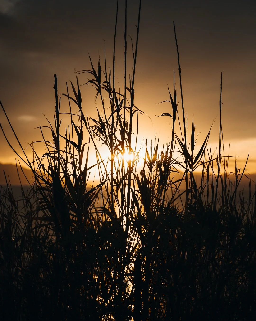 There are sunsets&hellip; 
And then there are Italian sunsets. 
Sicily was showing off. 
The sky was on fire and the sea turned to molten gold. 
It&rsquo;s been a long time since I&rsquo;d seen such a beautiful sunset, one to remember for sure! 

#si