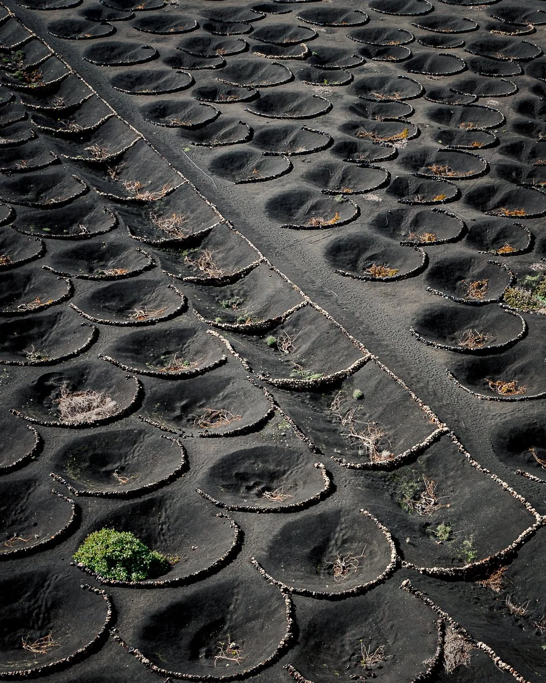 Lanzarote5.jpg