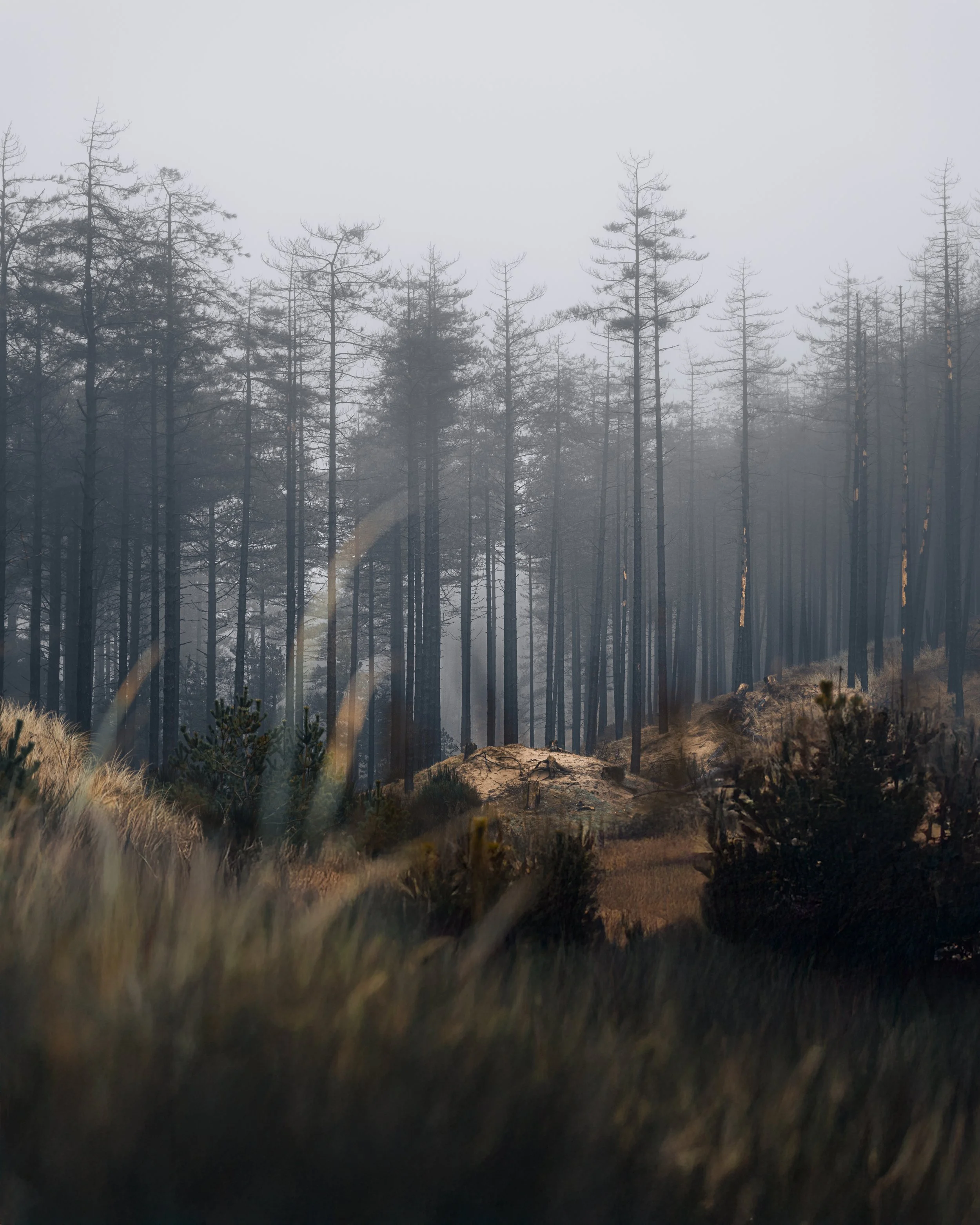 Anglesey2.jpg