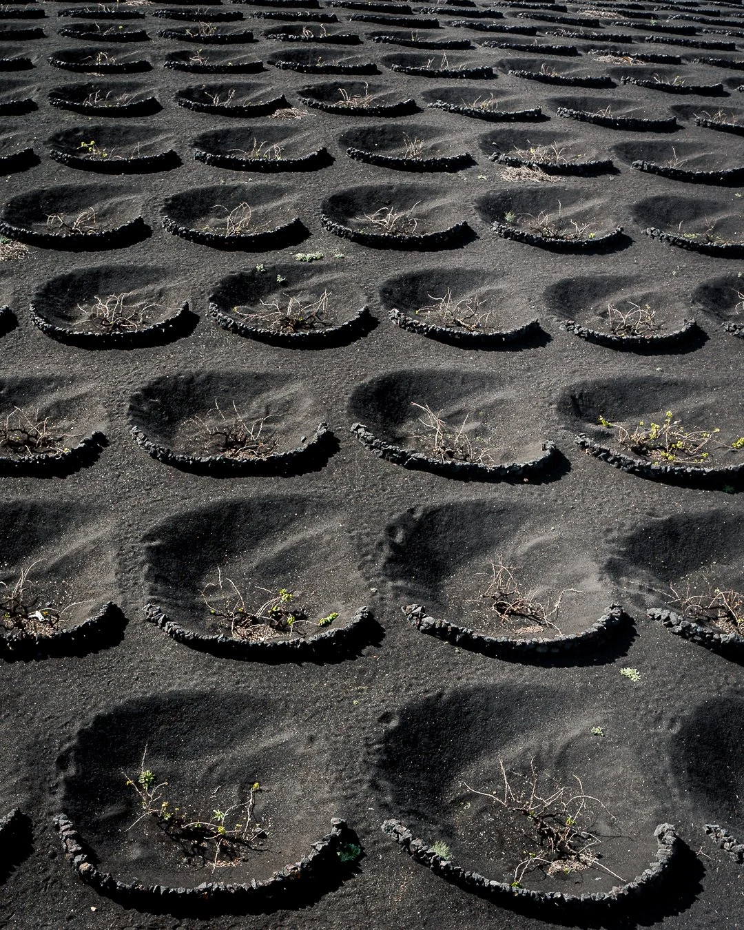 Lanzarote6.jpg