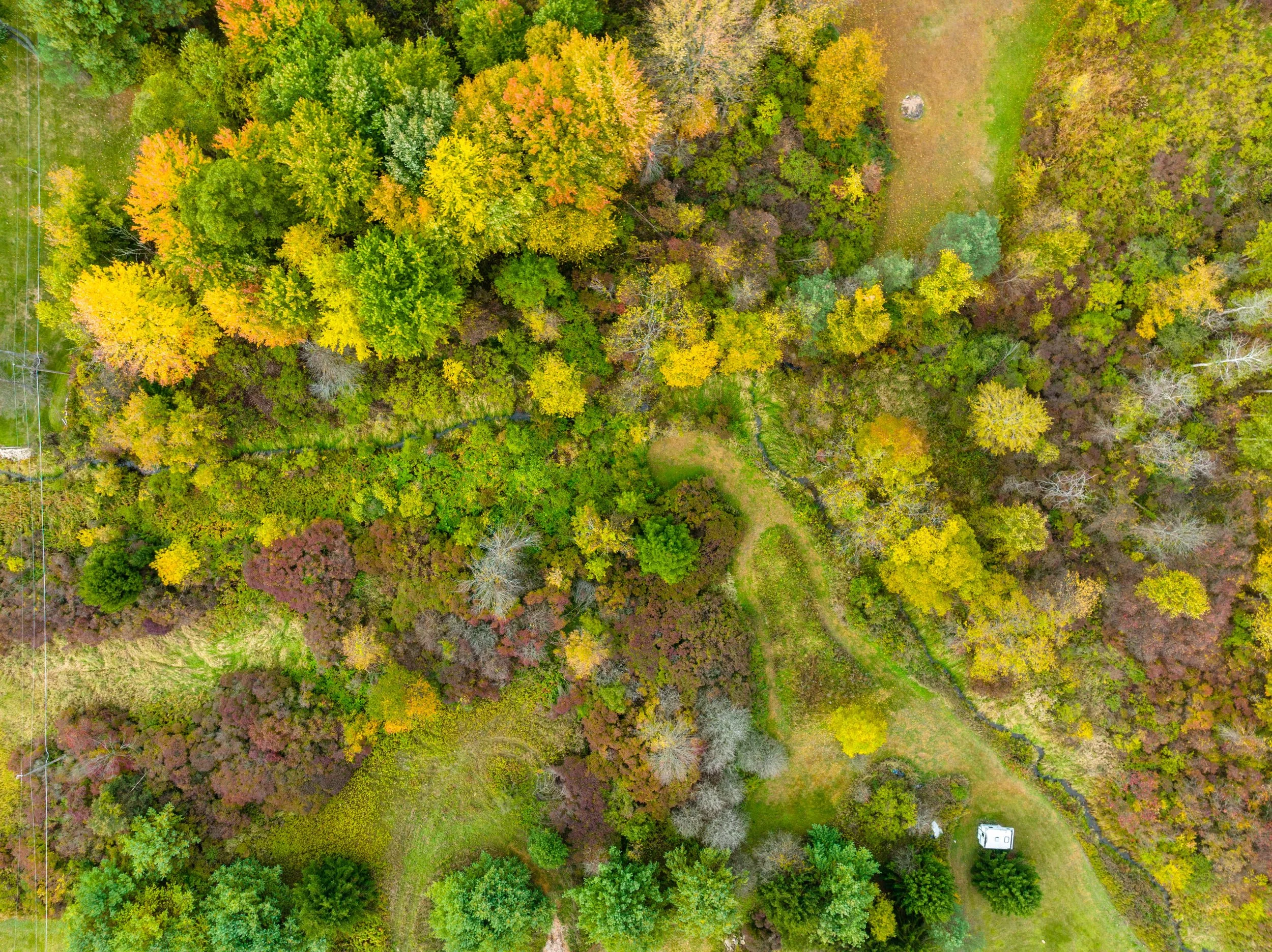 DJI_0993.jpg