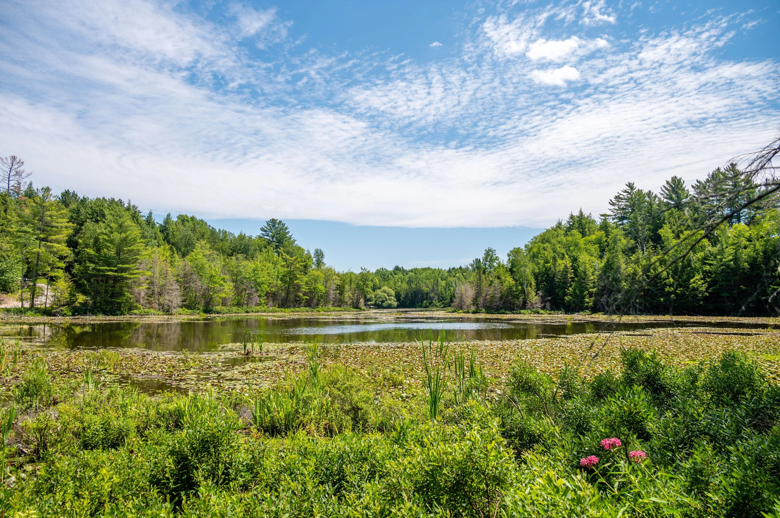 Straits Lake Lot — Aurora Properties