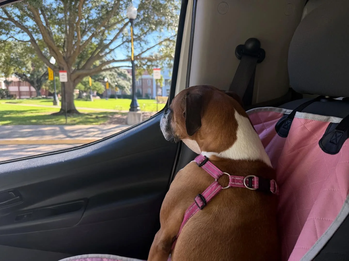 🌟Kimber had a busy weekend with all of the events we had!🌟
A grand reopening ceremony, a philanthropy event, a class reunion, and 4 weddings in 4 different cities made for a full schedule and a full van. Kimber loves to “work” with us!