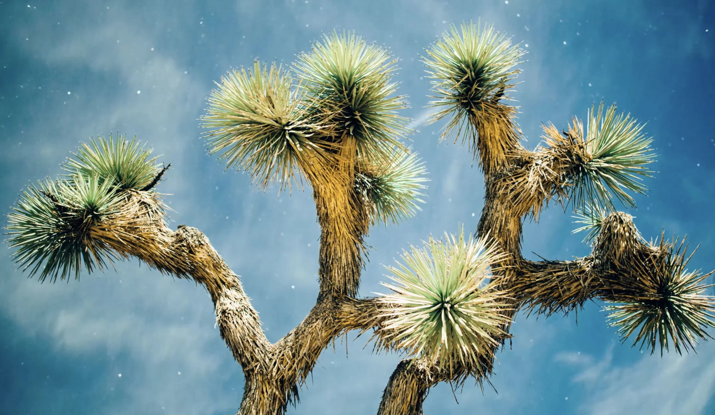 Screen Shot 2017-10-05 at 11.48.54 AM copy.jpg