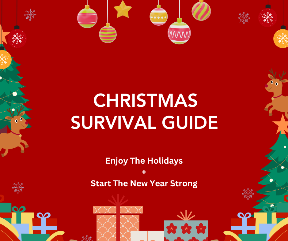 Christmas Survival Guide