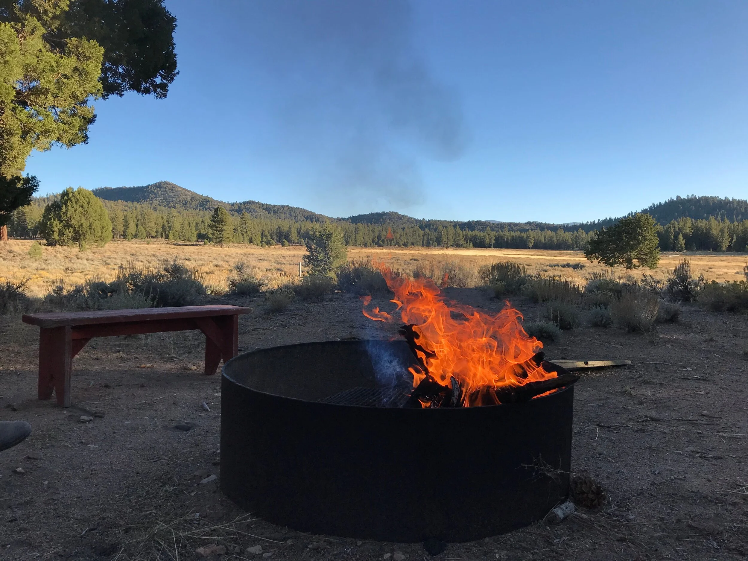 campfire.jpeg
