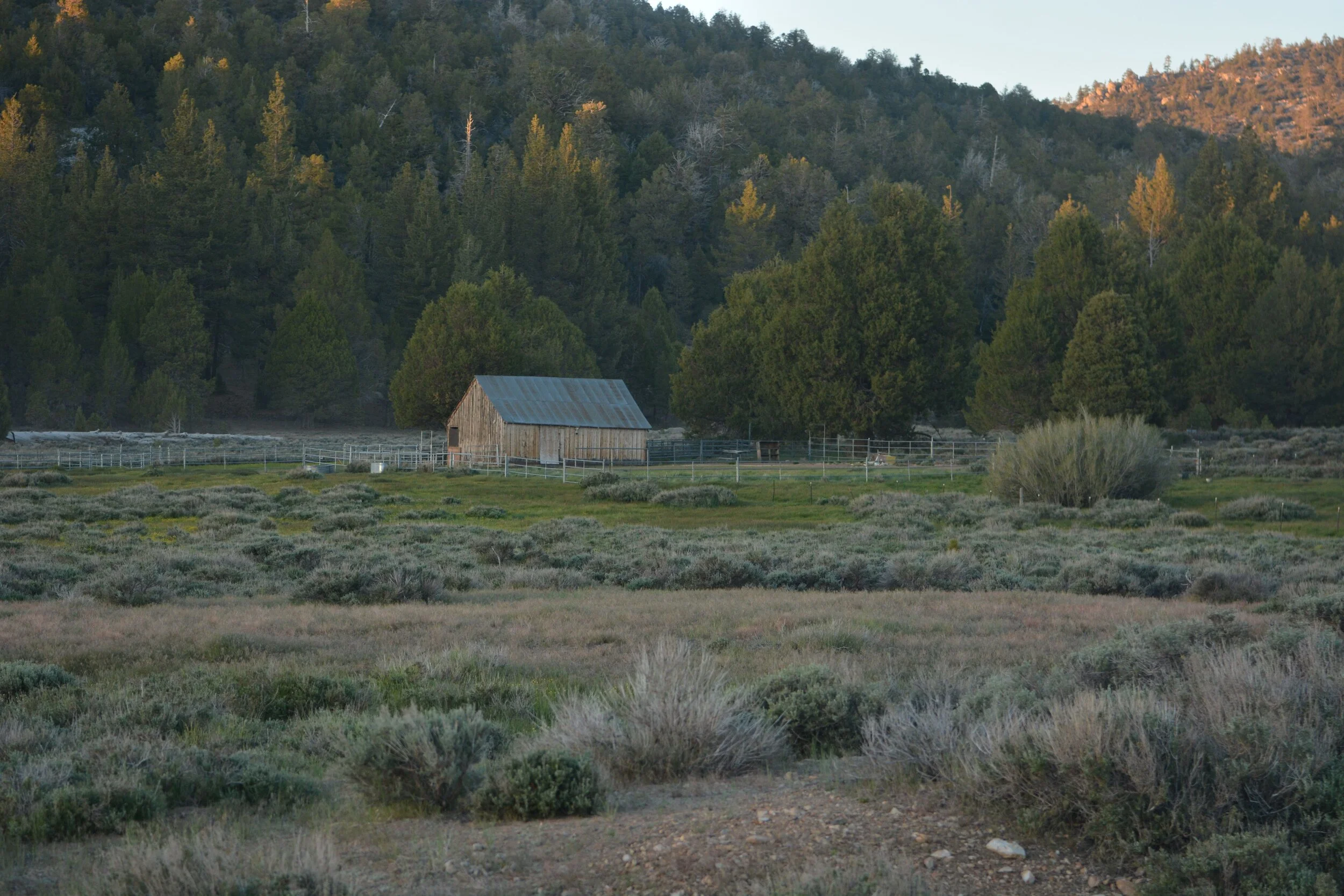 Events & Gatherings Valley Ranch Big Bear, CA