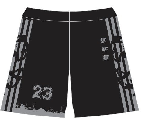 Training shorts 24-25 black grey.jpeg