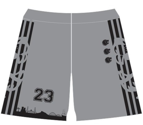 Training shorts 24-25 grey black.jpeg