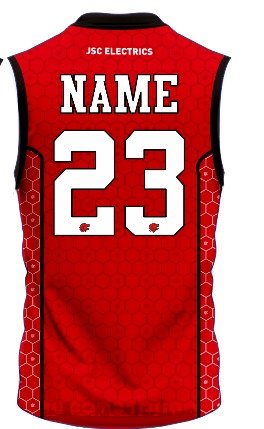 Lions home jersey 24-25 rear.jpeg