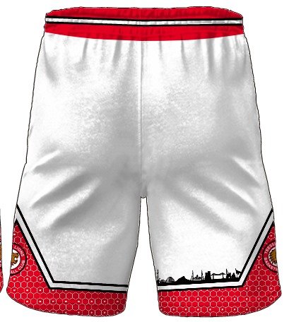 Lions away shorts 24-25 rear.jpeg