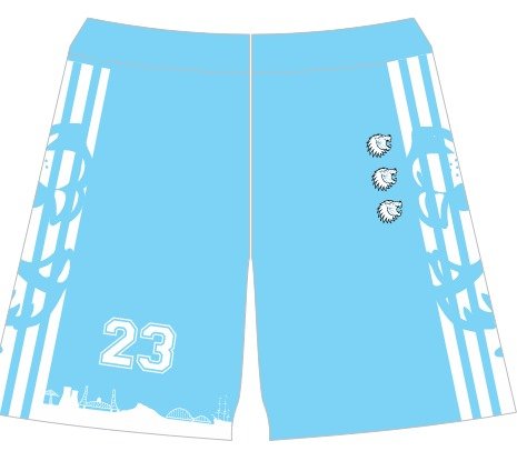Training shorts 24-25 blue white.jpeg