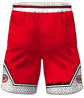 Lions home shorts 24-25 rear.jpeg