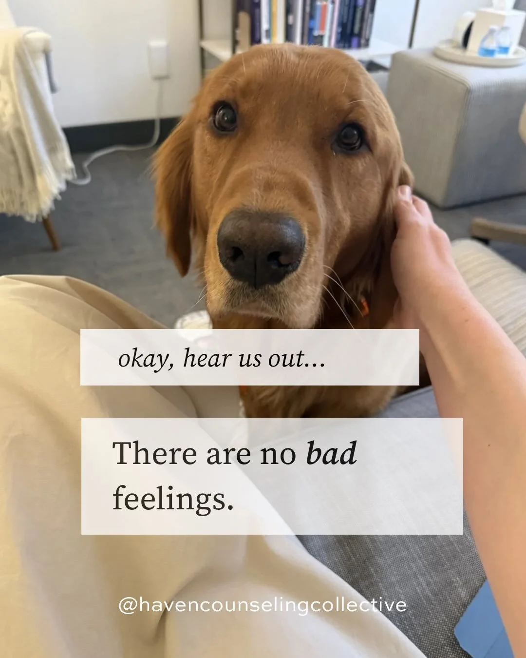 The urge to label feelings as good v. bad is so real. Yes, some emotions can be harder to experience, more difficult to regulate, and can carry more consequences if improperly channeled. 

Yet, when we are quick to label any of our emotions as BAD we