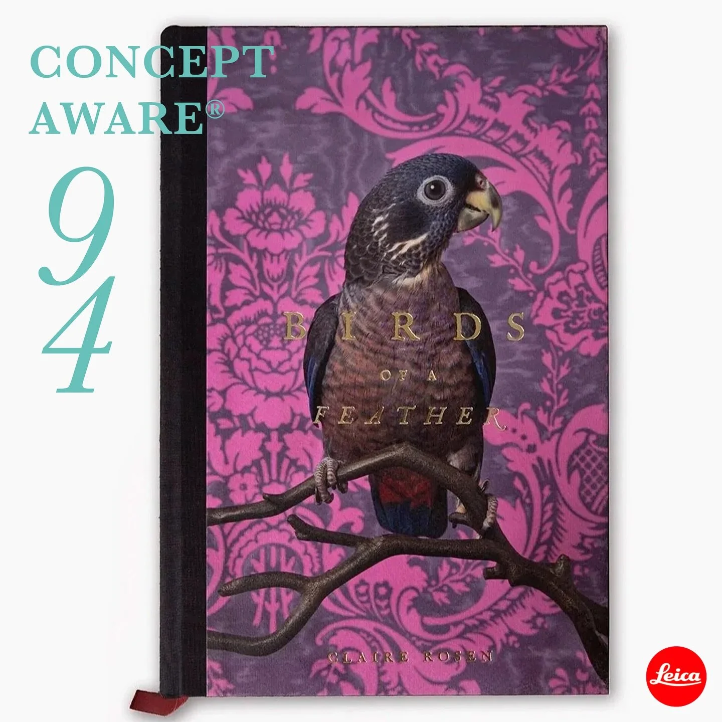 Thrilled to share my Concept Aware podcast conversation with @claire__rosen featuring her sumptuous new book, Birds of a Feather. 

Rosen offers a visual feast, an avian imaginarium, alongside a thoughtful inquiry into the layered relationships of ar