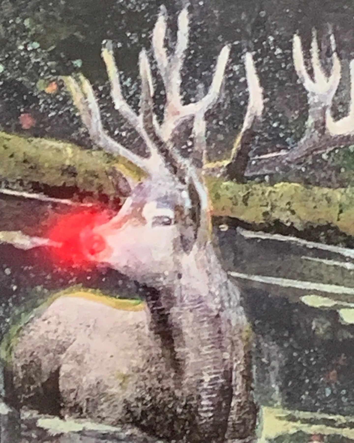 Merry Christmas to those who celebrate, sending tidings of comfort &amp; joy to all.
Walking across a street in the Marais a changing traffic light behind me brought this storefront to life.
Magic abounds.