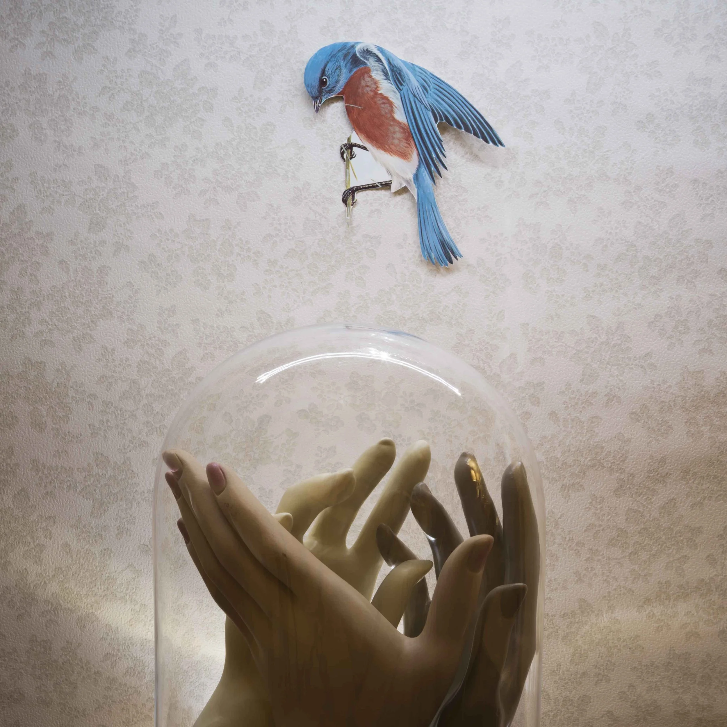 Griffiths_Meg_Bell Jar, 2020_4.jpg