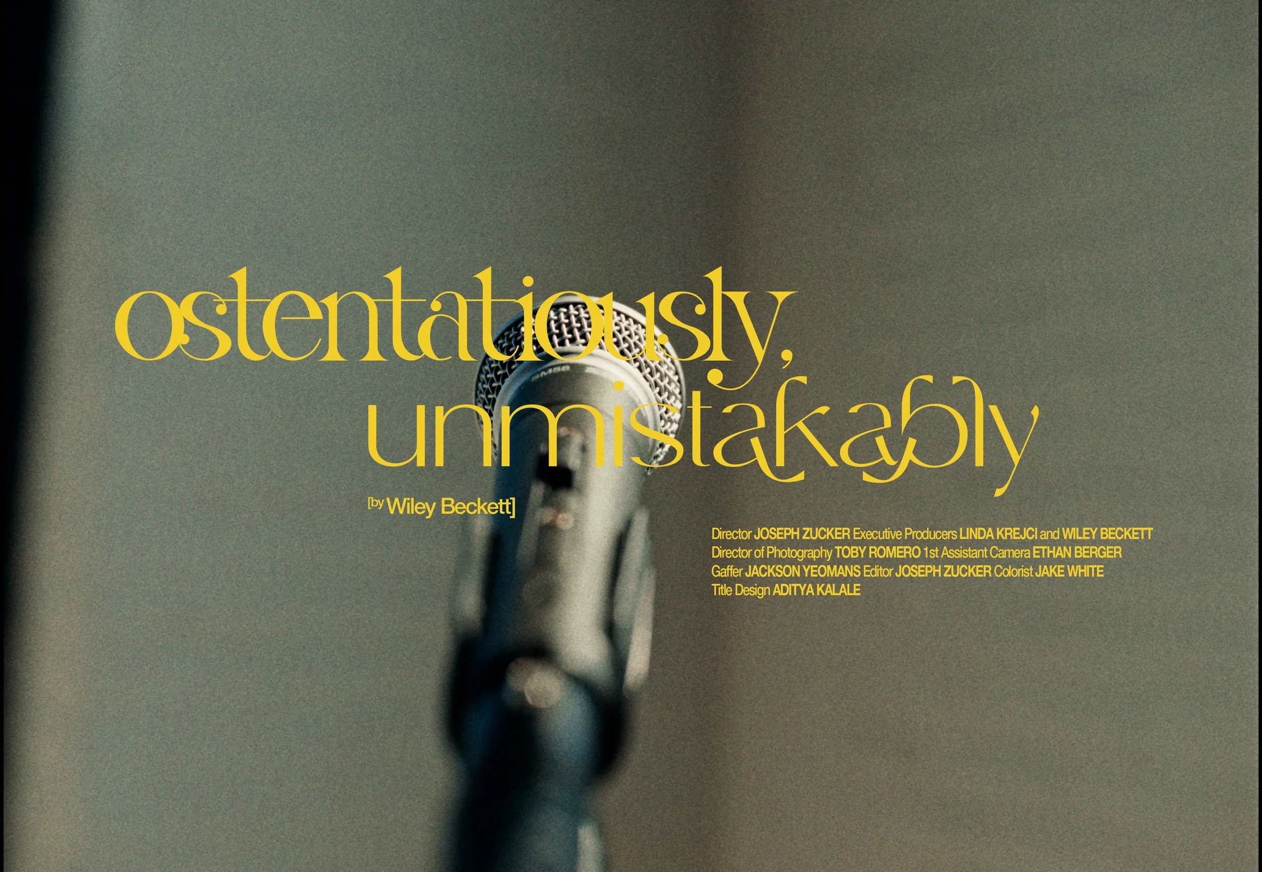 Final Composition.00_00_01_17.Still006.jpg