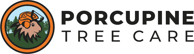 Porcupine Tree Care | Tree Pruning &amp; Removal, Saskatoon