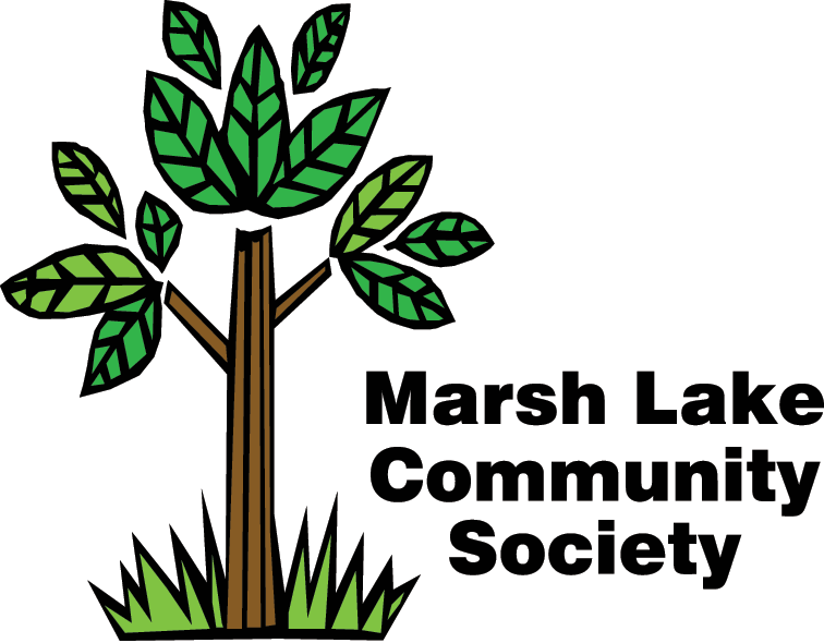 MLCS logo.gif