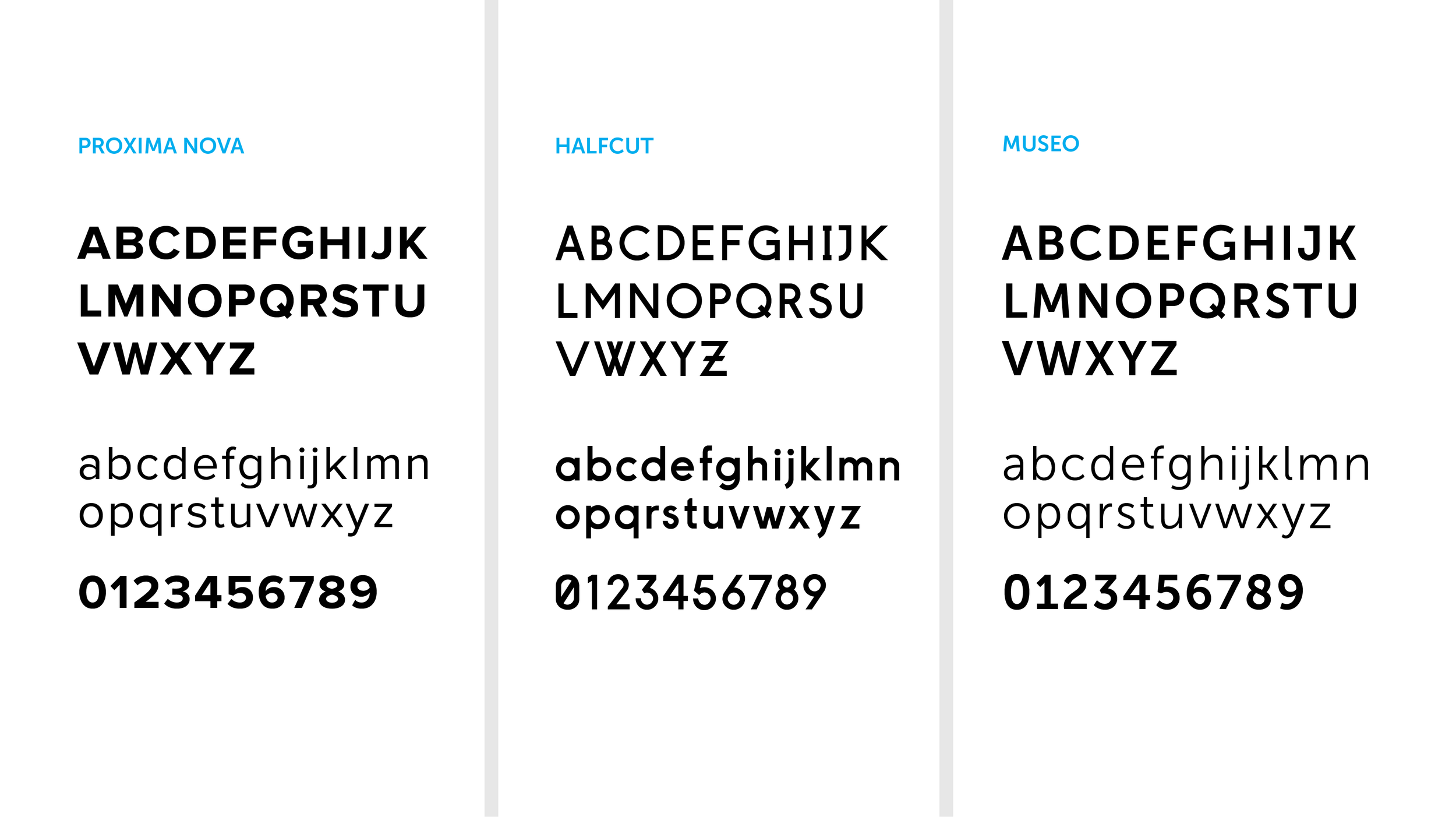 Brand Refresh Presenation_Type Study 3.png