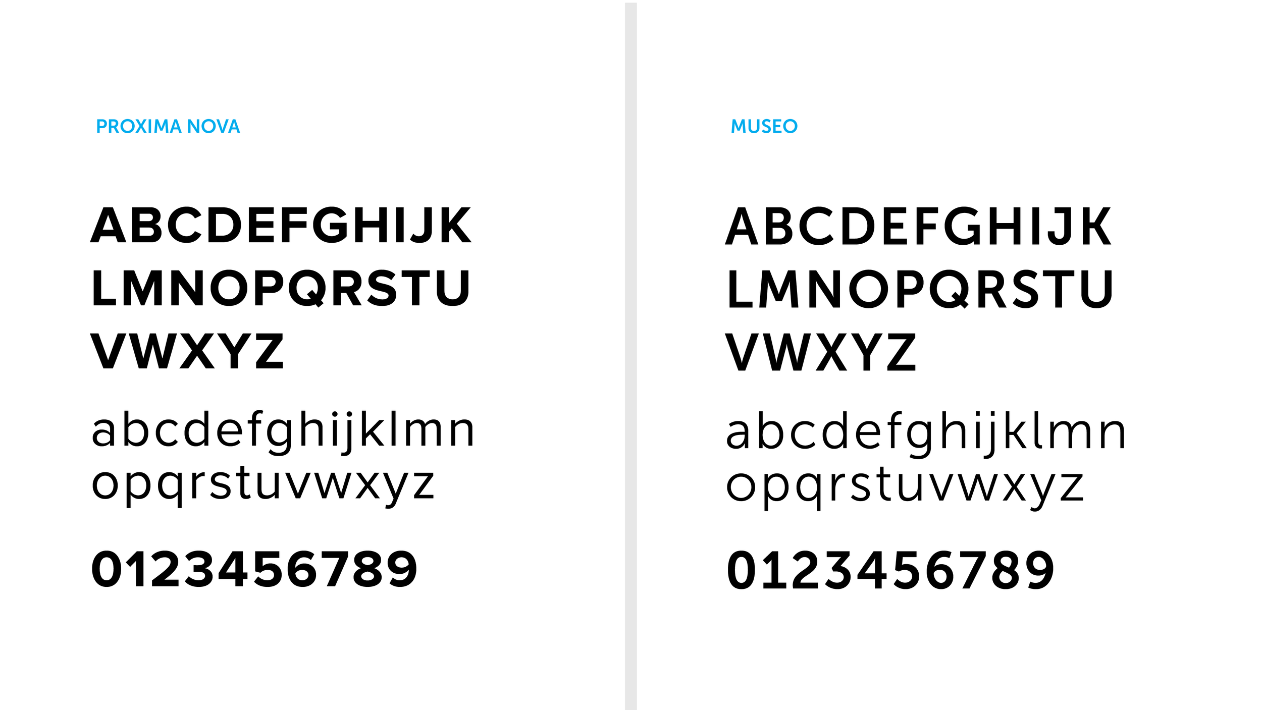 Brand Refresh Presenation_Type Study 2.png