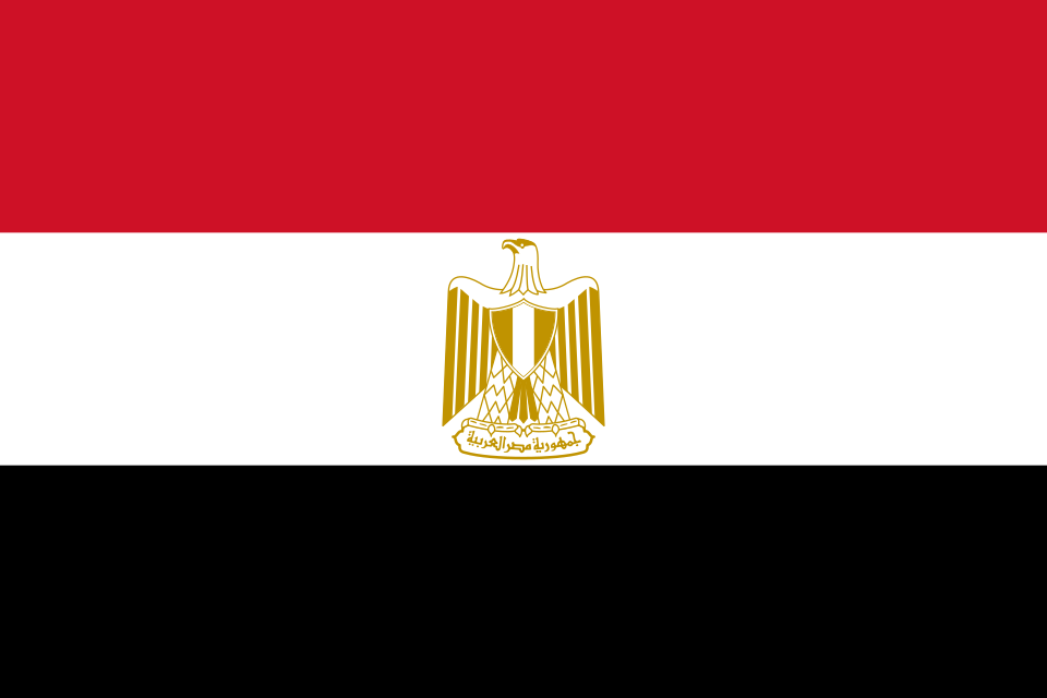 World Cup (Match #40) - New Zealand vs Egypt
