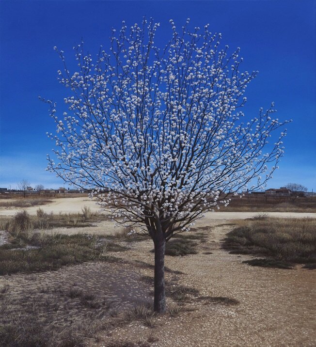 The long struggle 2 30" x 33" 2019 private collection Fort Worth Texas