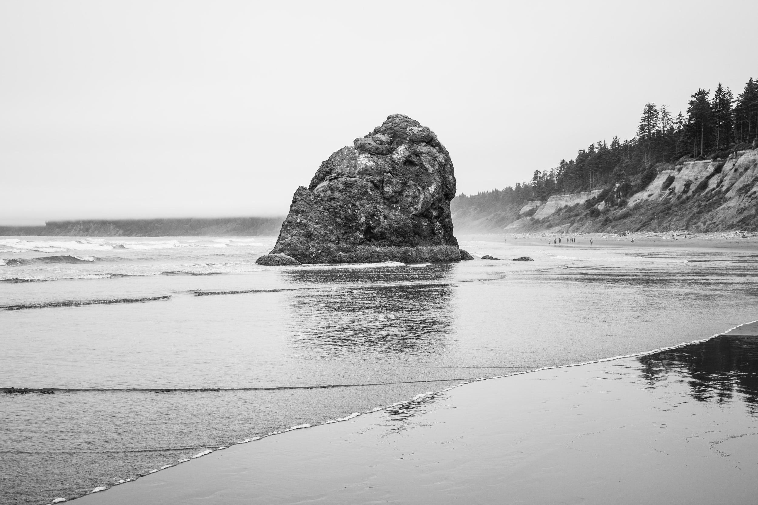 imagen-unsplash-X1IJw5GU88M.jpg