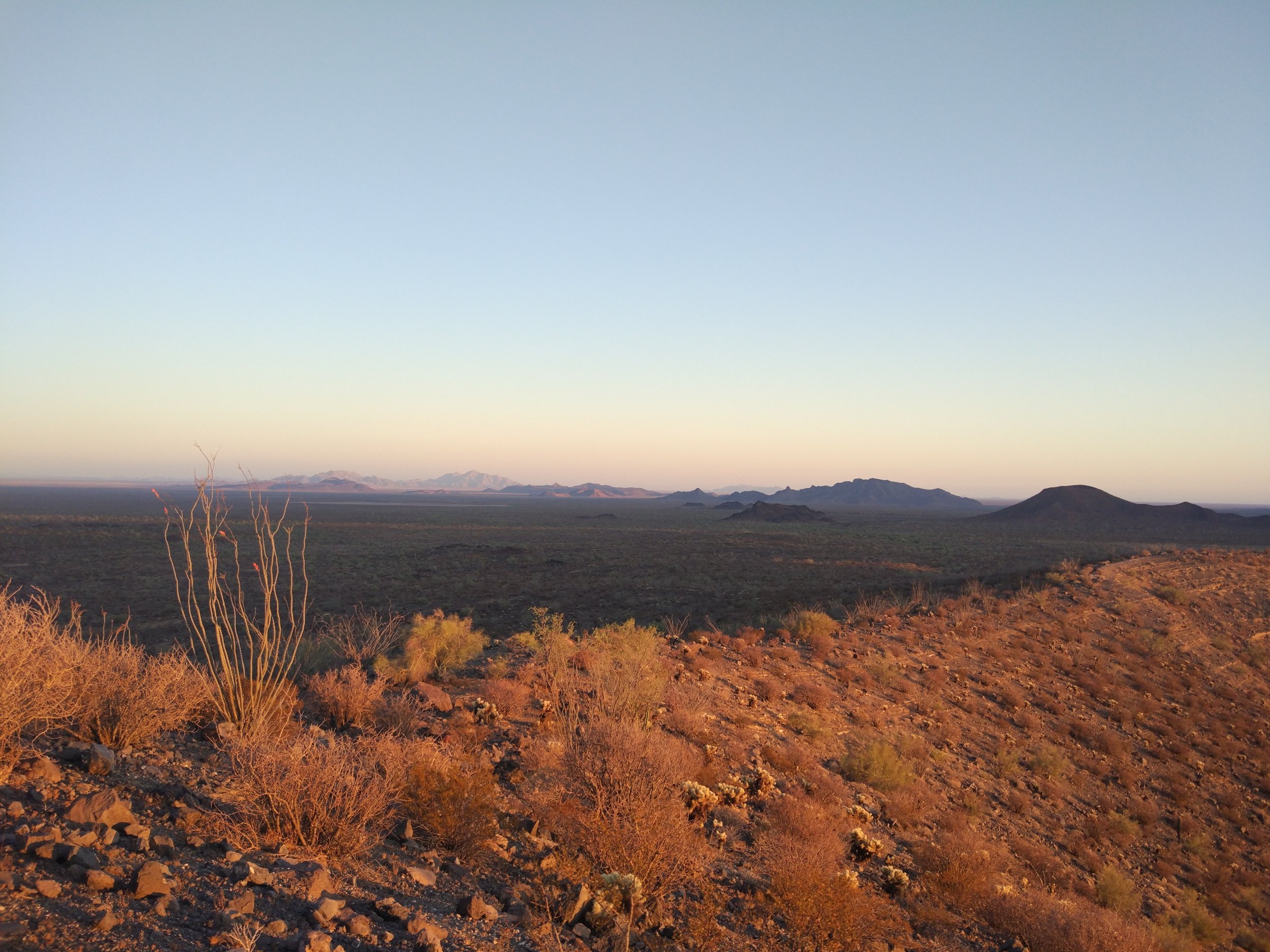 El Pinacate Reserve Photo: Adobe Stock