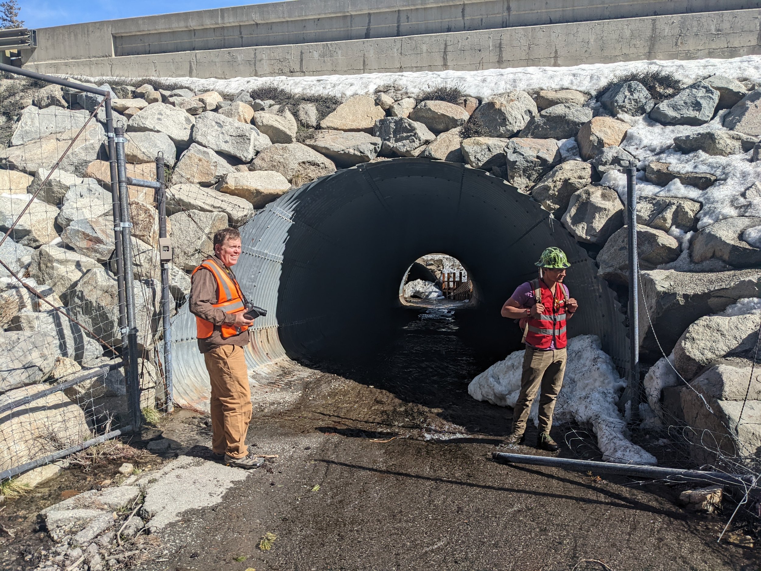  Exploring the existing structures on I-80 allowed us to see examples of the impressive wildlife underpasses that Caltrans has constructed along I-80. The expertise of Ahiga and Wildlands Network Chief Scientist Dr. Ron Sutherland were invaluable for