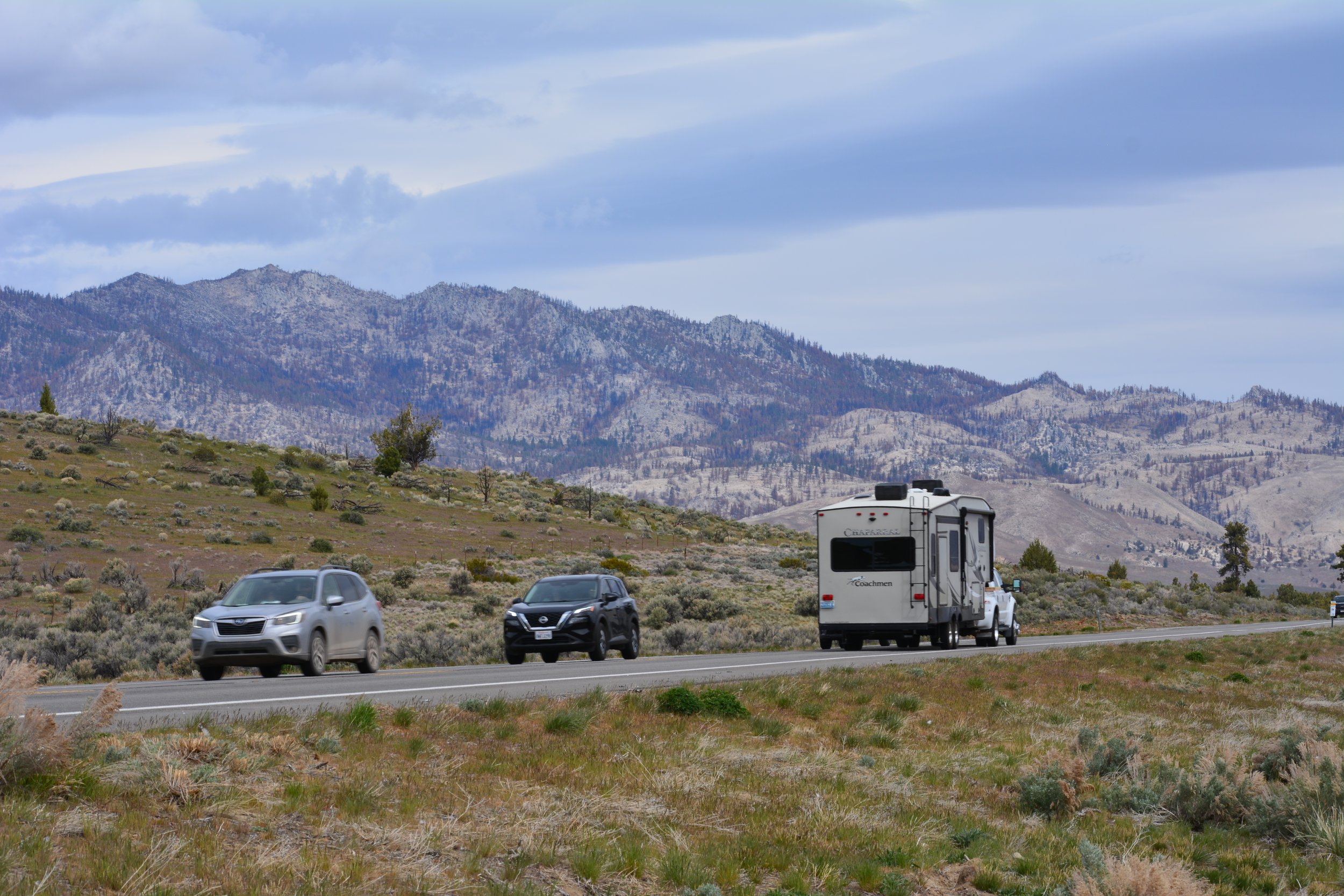  The section of Highway 395 that runs from the California-Nevada border to Honey Lake is an important transportation corridor in the Eastern Sierra and frequently has wildlife-vehicle collisions. 