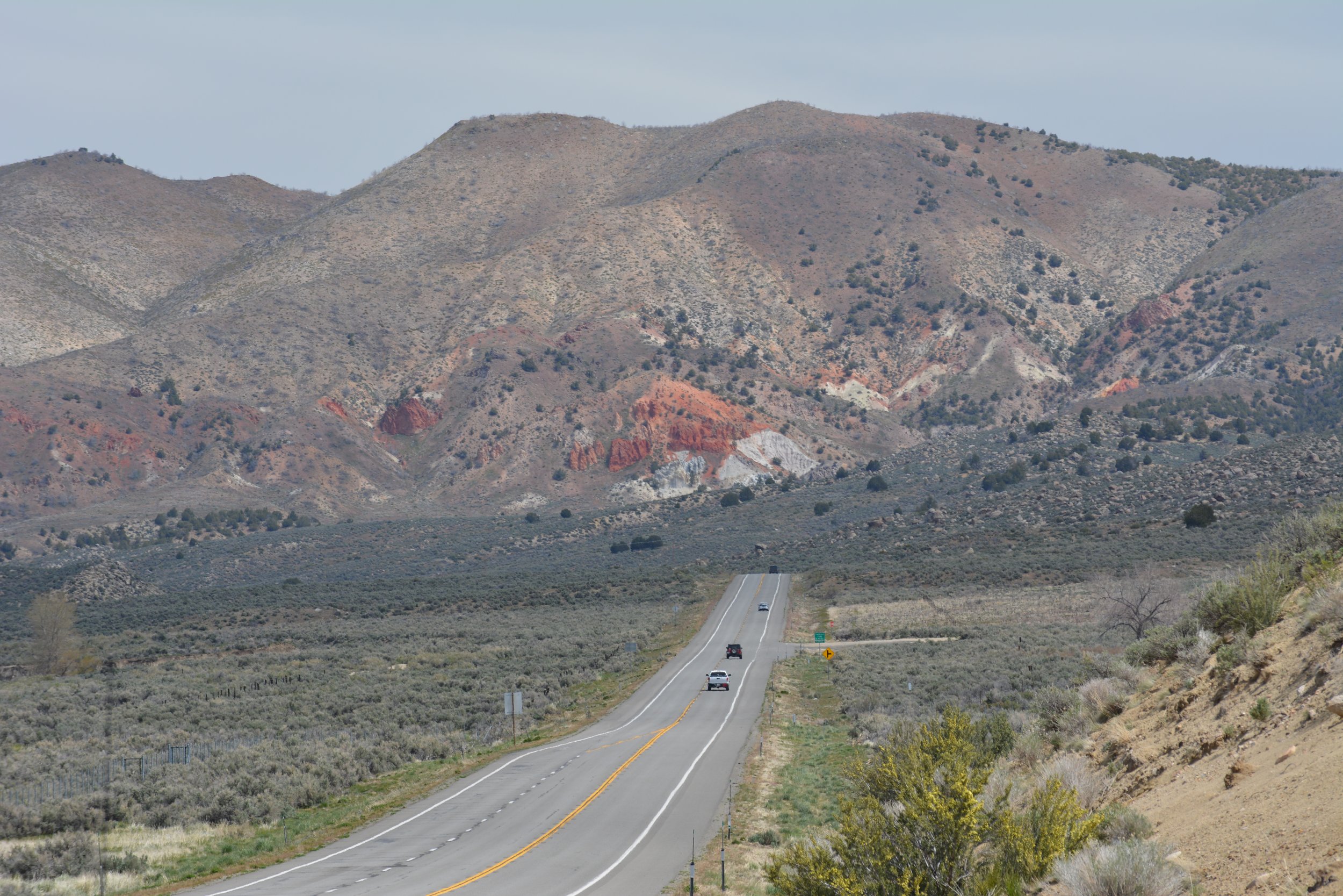  Our Highway 395 study will inform what enhancements are needed to allow safe passage for wildlife and reconnect the Sierra Nevada to the west to the low-lying sagebrush to the east. 