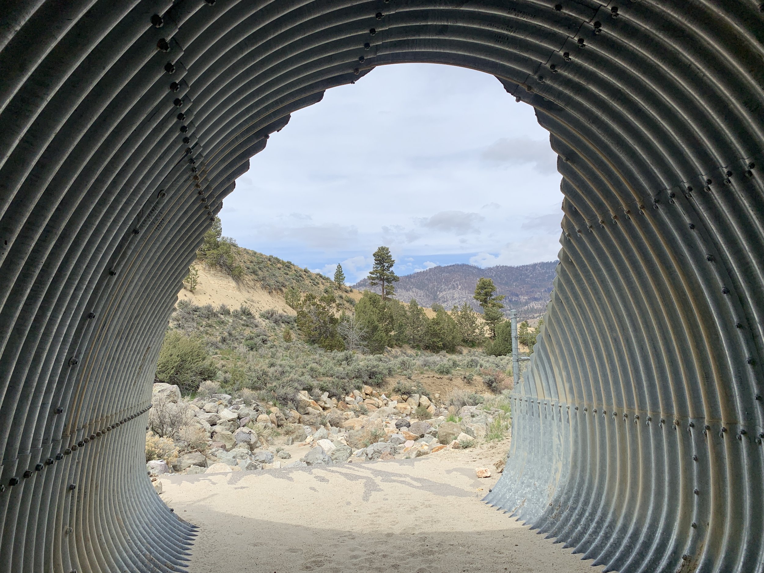  Installing large corrugated culverts, like the structure on Highway 395 pictured here, provide safe passage for multiple species of wildlife, especially when coupled with directional fencing. 