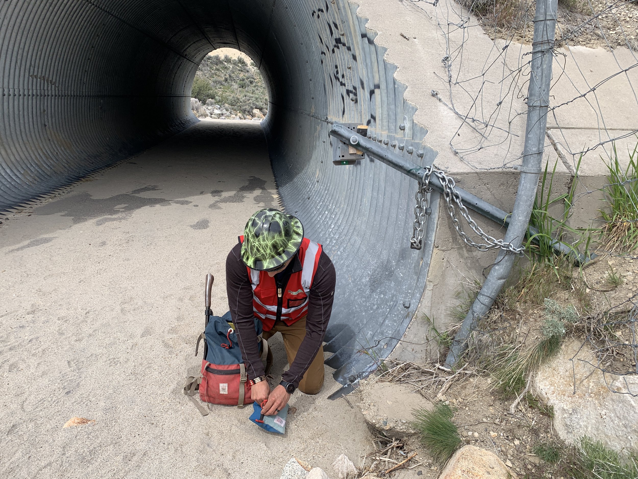  Ahiga is resourceful at spotting and using the human-made and natural features around culverts and bridges that provide optimal camera placement to record wildlife movement. 