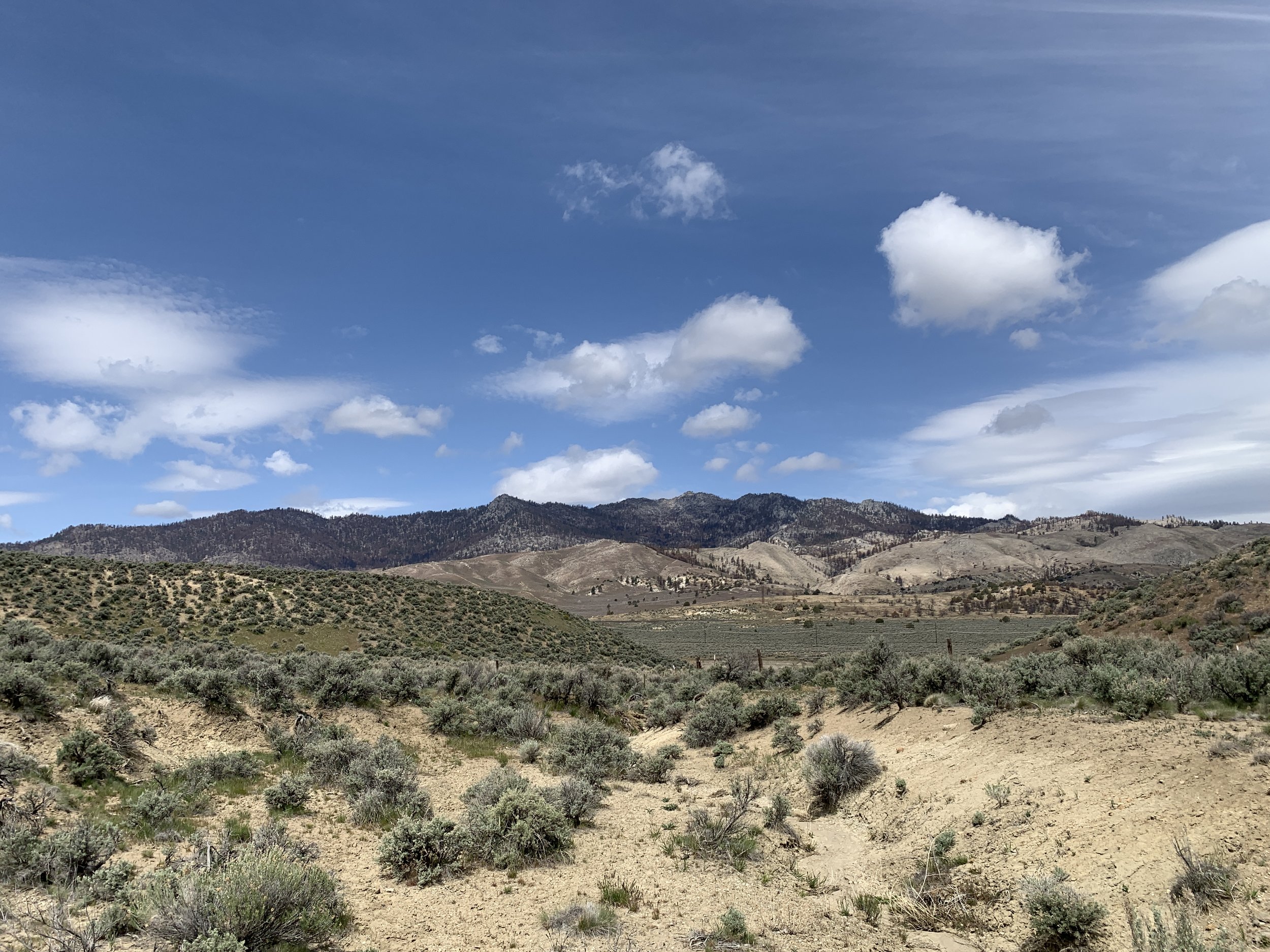  Landscapes around the Highway 395 study area. 