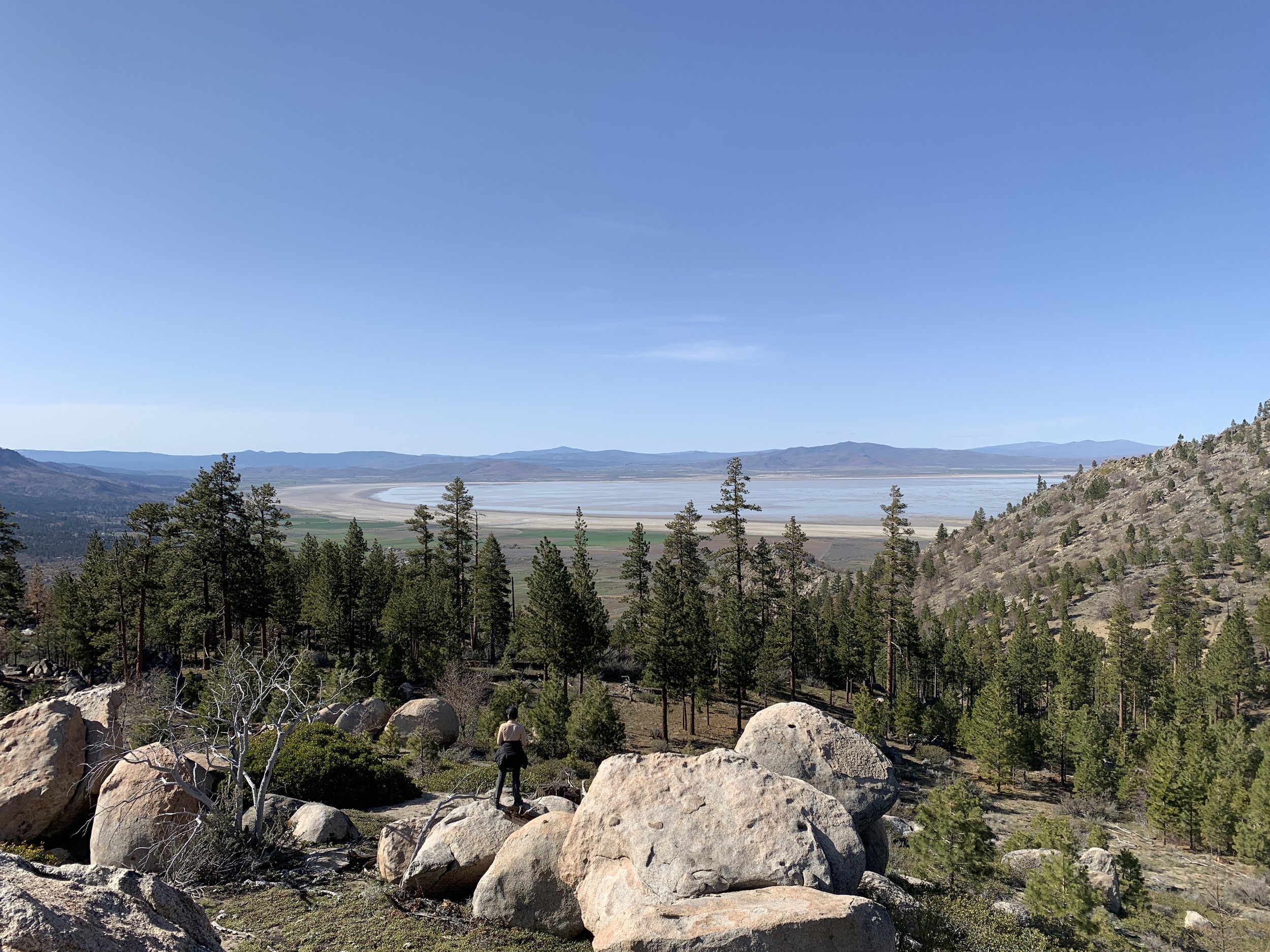  We also visited parts of the Plumas National Forest, adjacent to the Highway 395 study area, to see some of the higher elevation habitats used by migrating deer herds. 