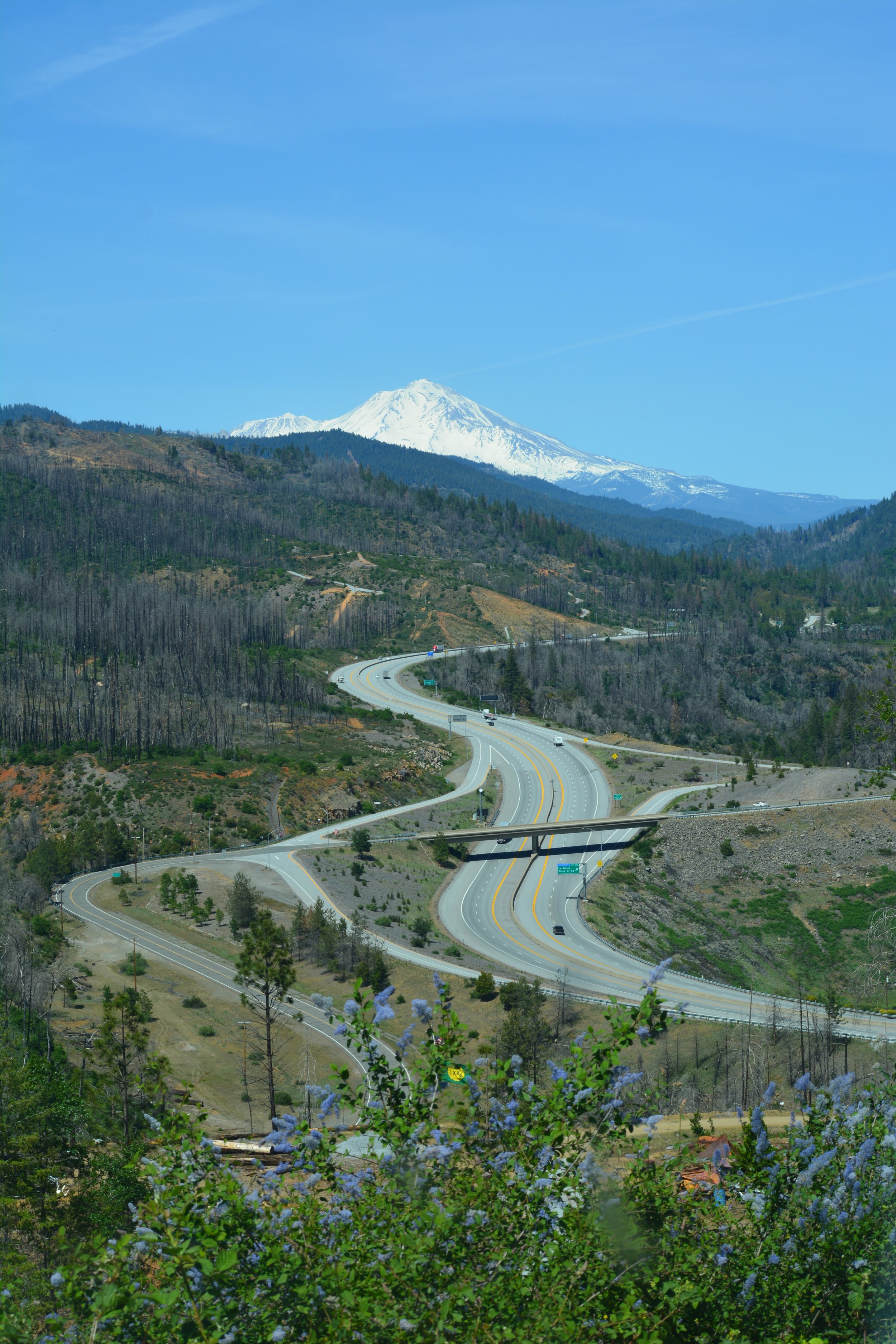  I-5 presents one of the most significant barriers to wildlife movement in Northern California. 