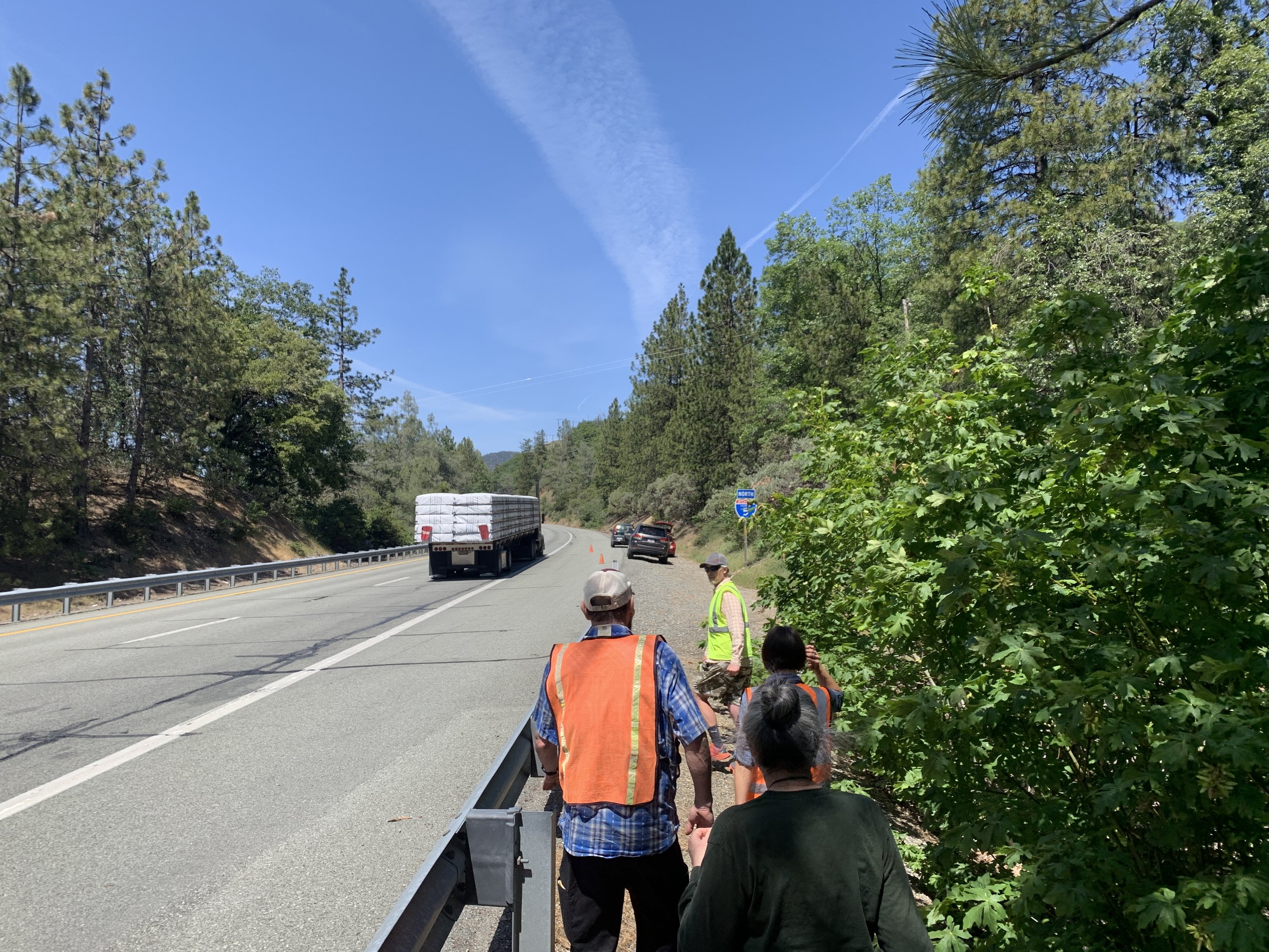  We met with partners at the U.S. Fish and Wildlife Service, Klamath-Siskiyou Connectivity Project, and Mount Shasta Bioregional Ecology Center to identify opportunities for road crossing enhancements that would promote safe passage for wildlife alon
