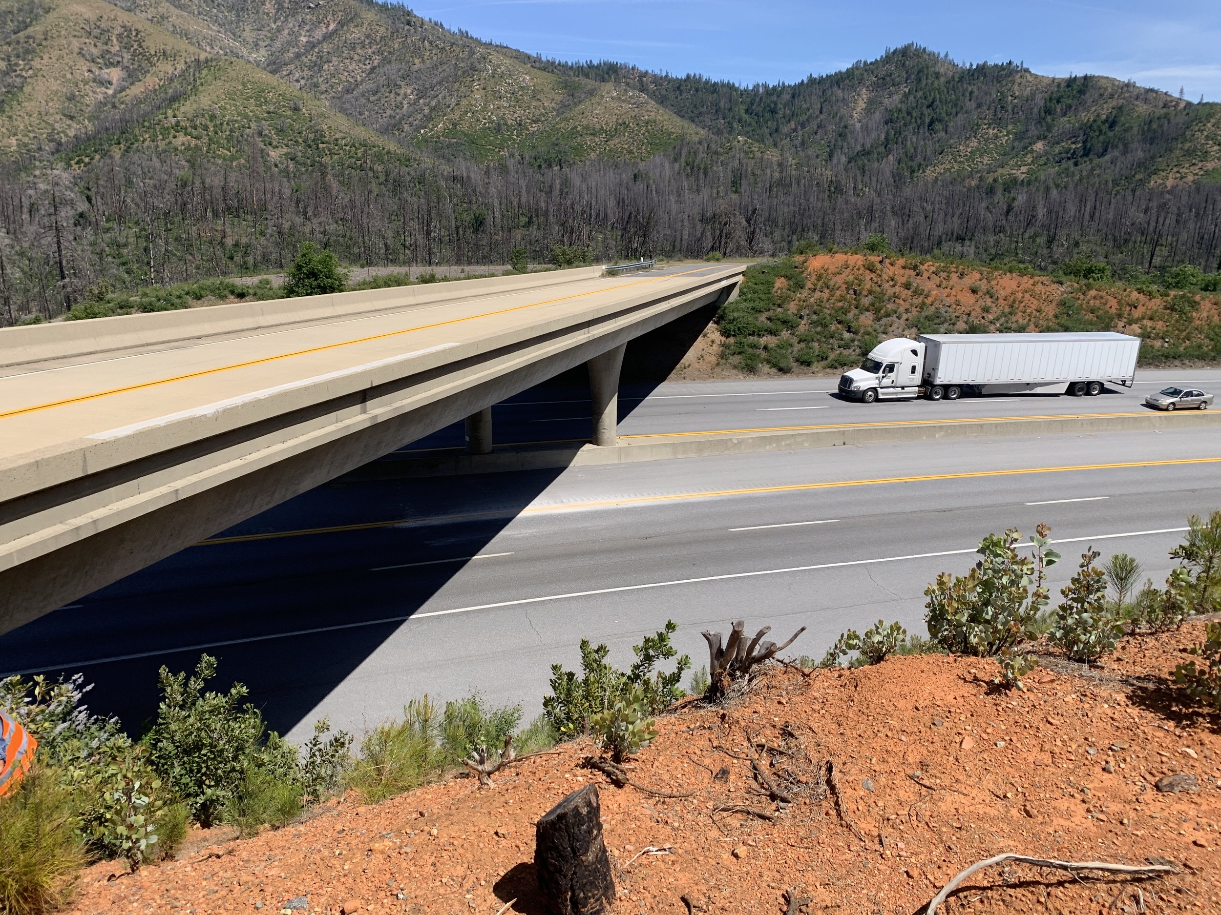  Not only did we explore ways to reduce wildlife-vehicle collisions along I-5—we also considered how road enhancements could increase connectivity throughout the landscape. 