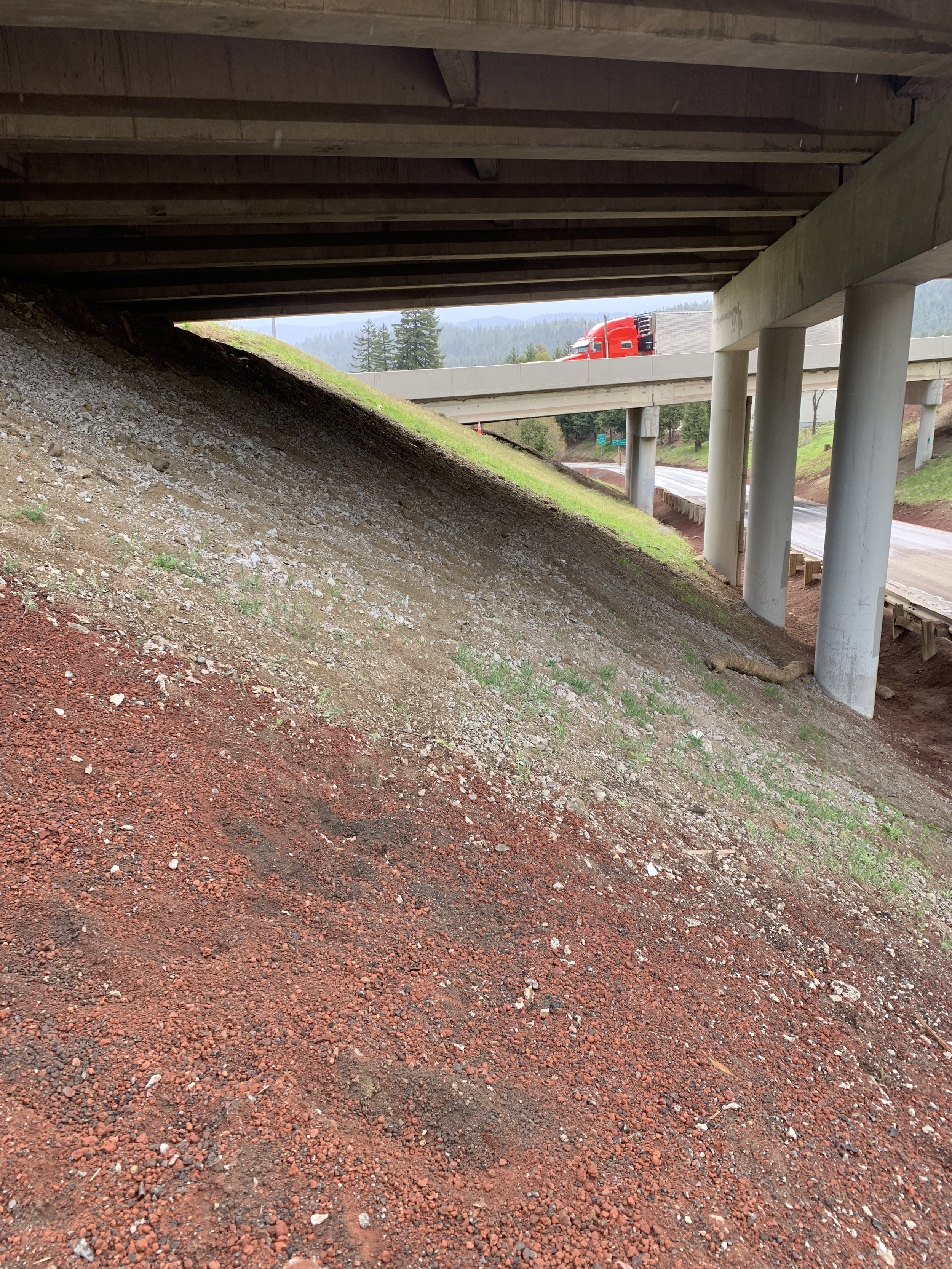  Existing underpasses on I-5, south of Ashland showed signs of wildlife use. Can you spot the faint trail running beneath the bridge? 