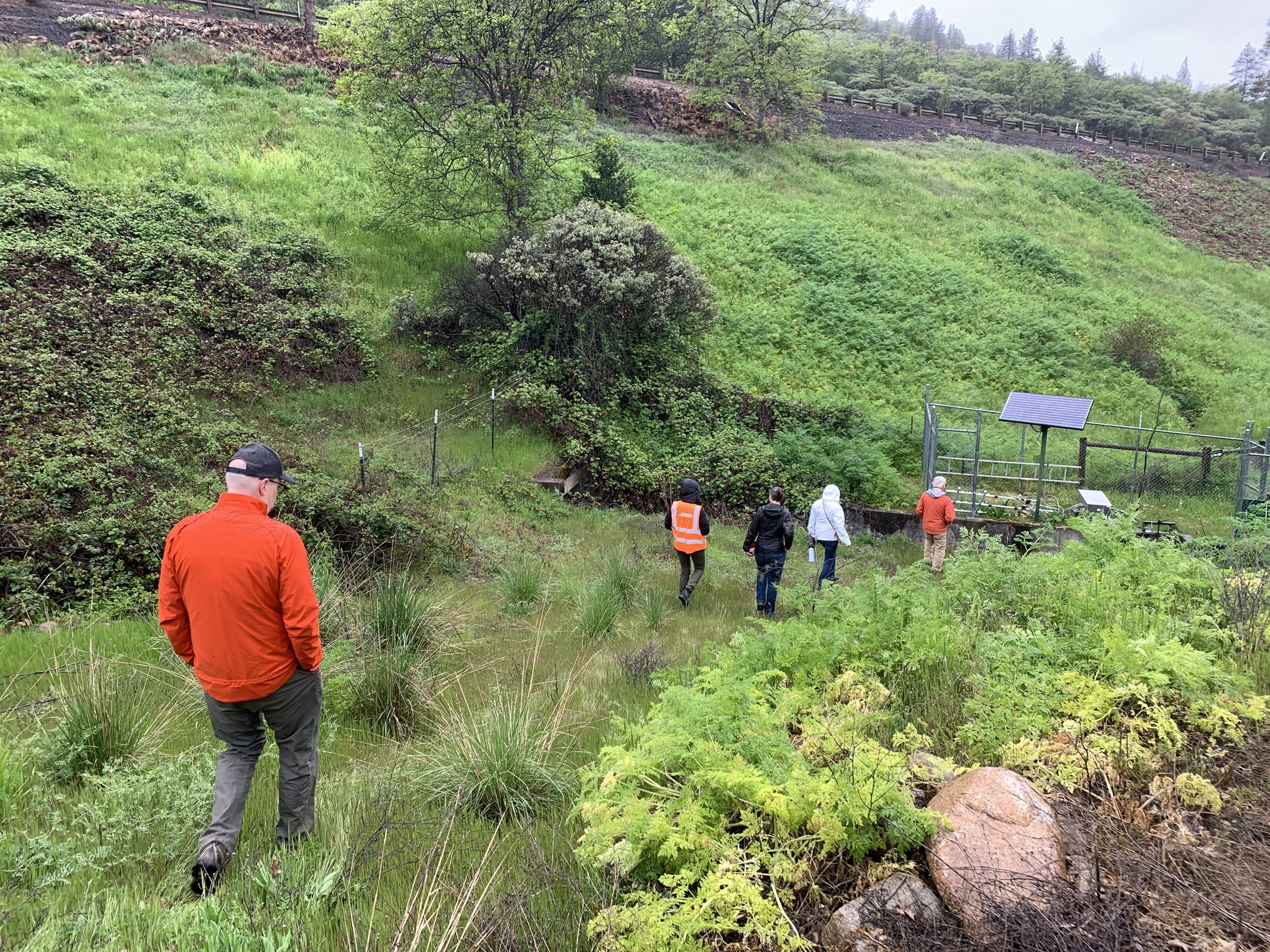  Wildlands Network's Pacific-based staff attended an I-5 site visit with the Southern Oregon Crossing Coalition, which works to enhance wildlife movement and reduce wildlife-vehicle collisions on I-5 from Ashland to the California-Oregon border. 