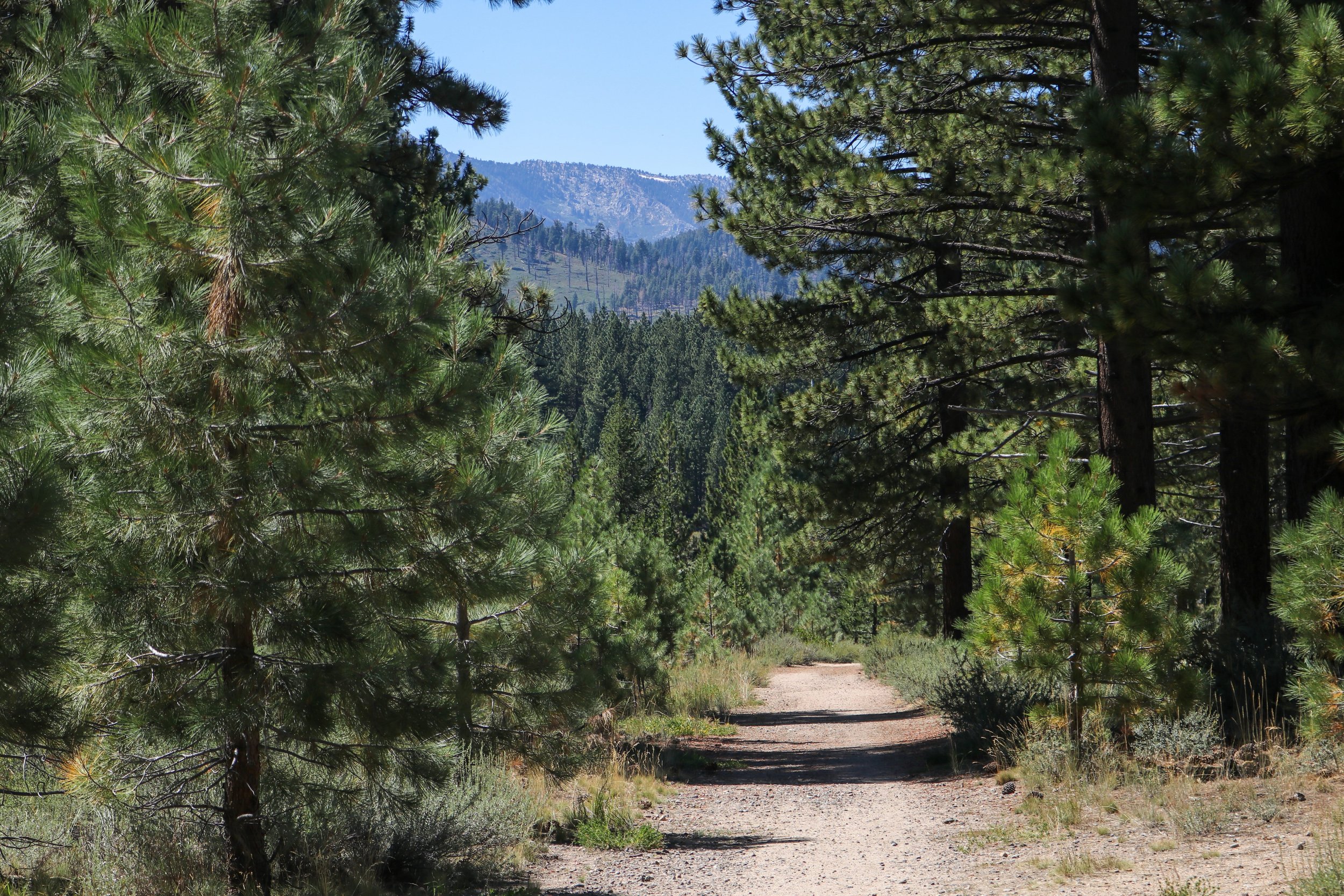 Balancing Recreation and Conservation in California and Beyond 