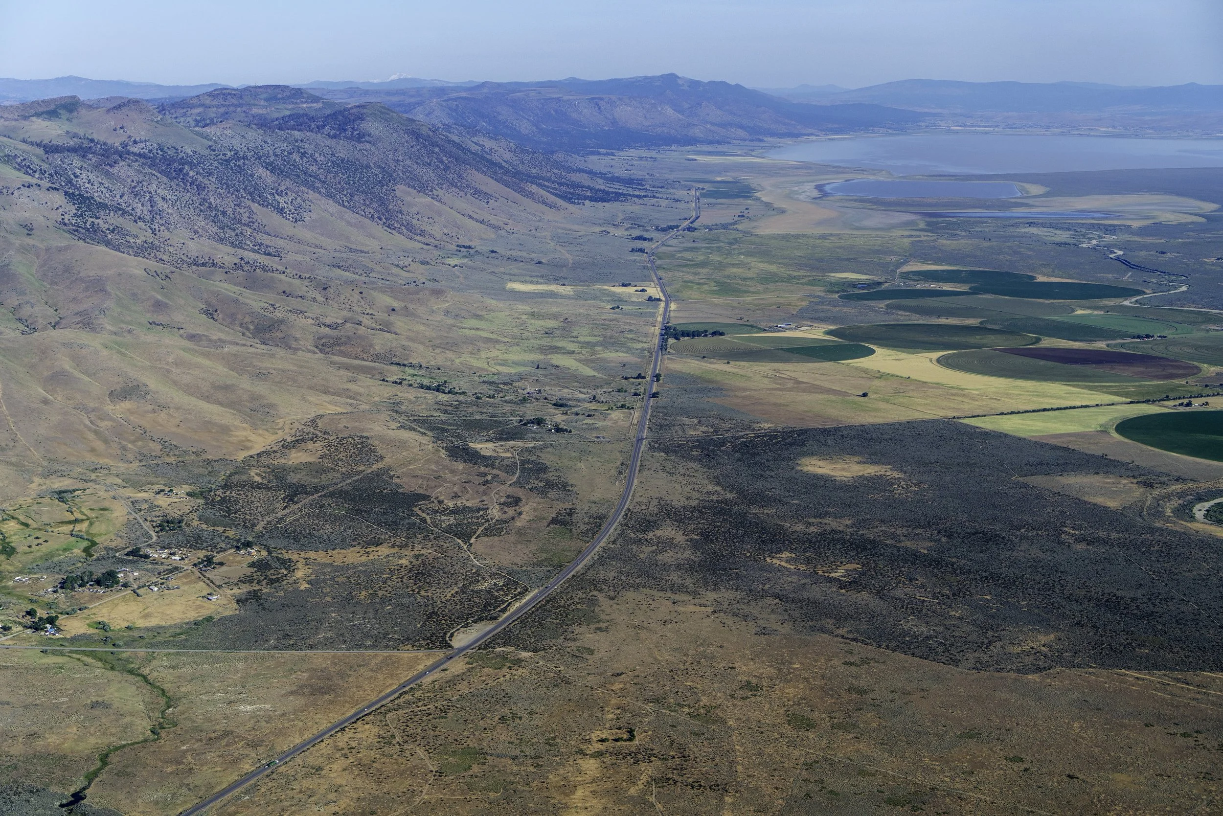 Protecting Private Working Lands: Essential Strategy for Wildlife Connectivity in Northeast California