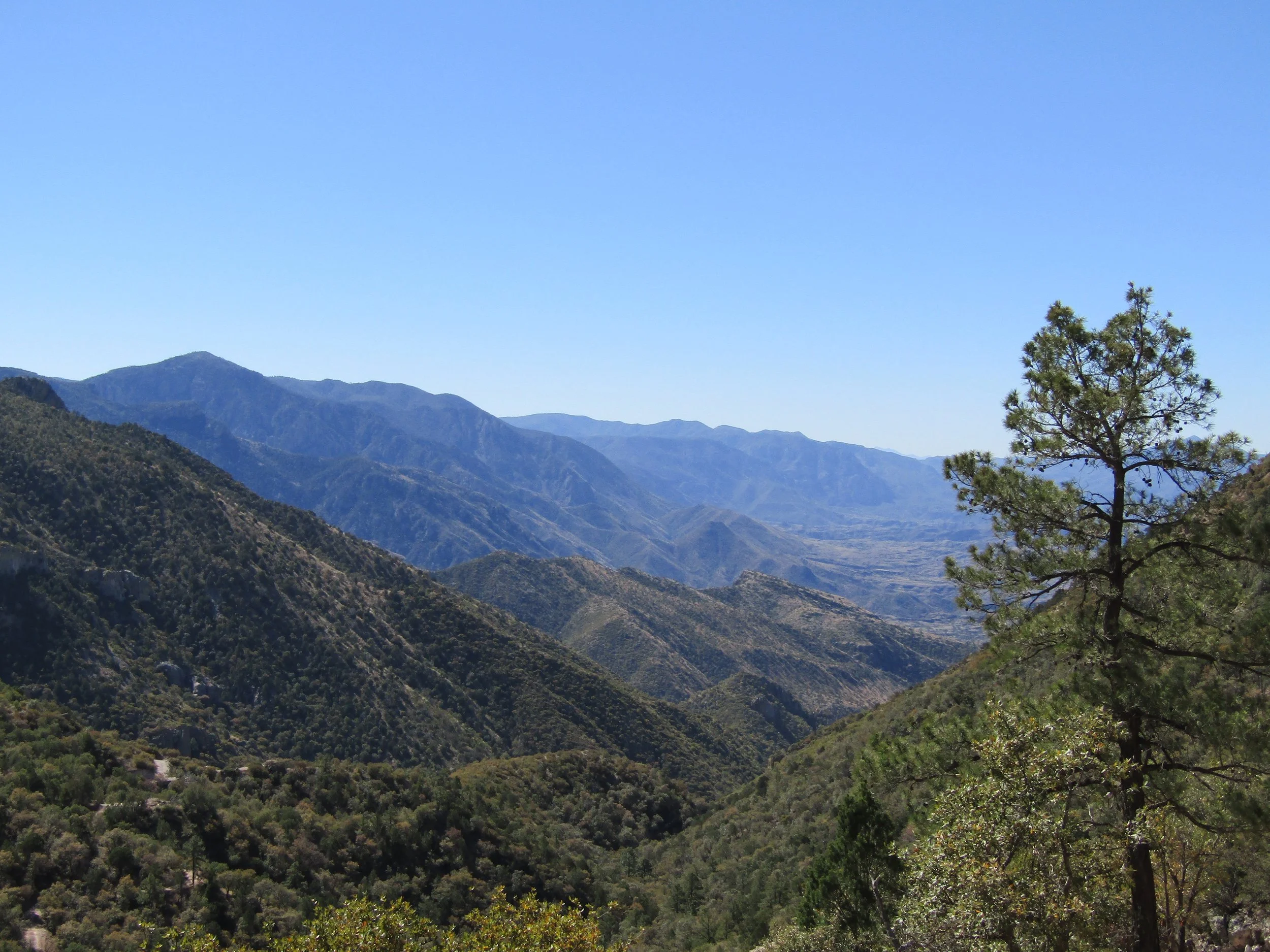 Q&amp;A with Gina and Daniel