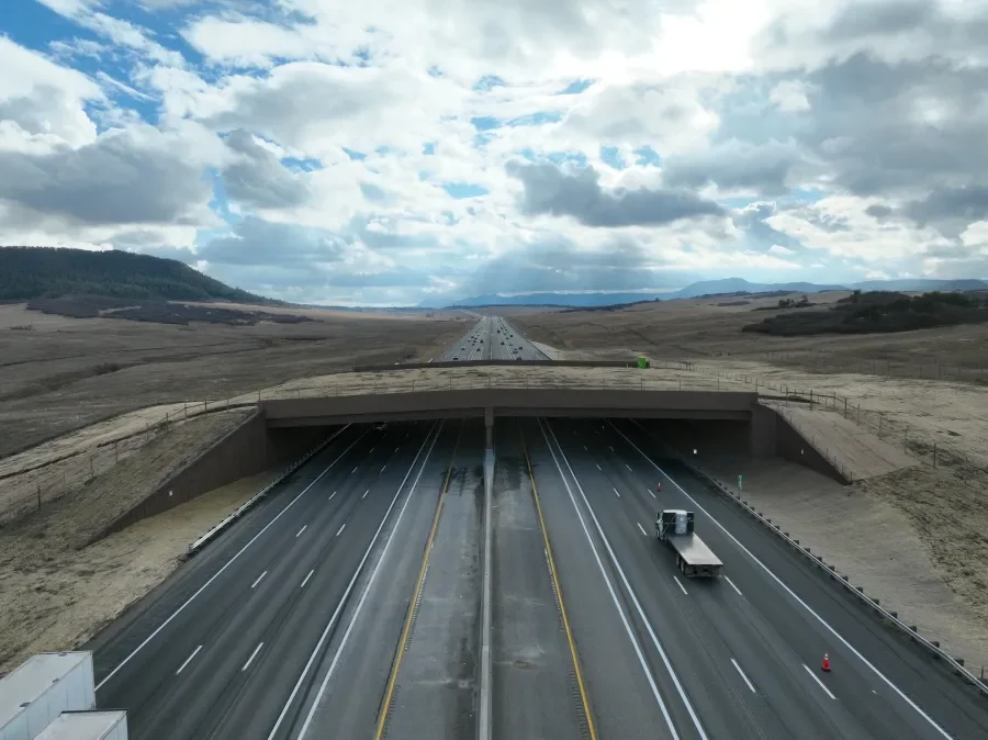 Bipartisan Senate Coalition Moves to Expand Life-Saving Wildlife Crossing Infrastructure