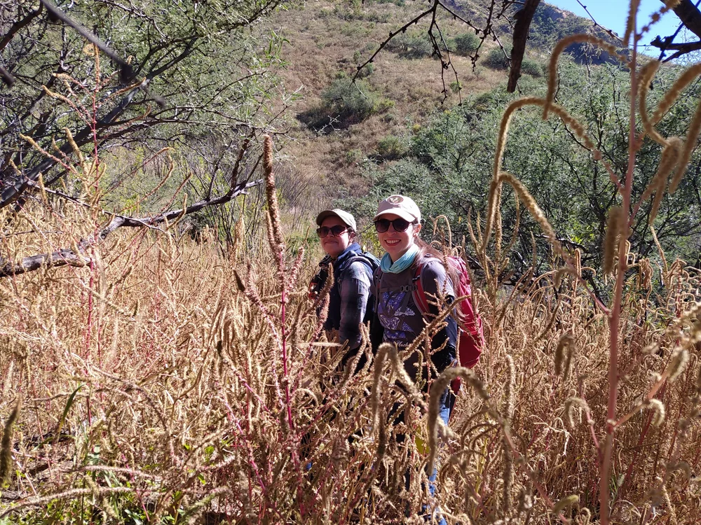 Rewilding at the Borderlands: Returning Jaguars and Ocelots to Their ...