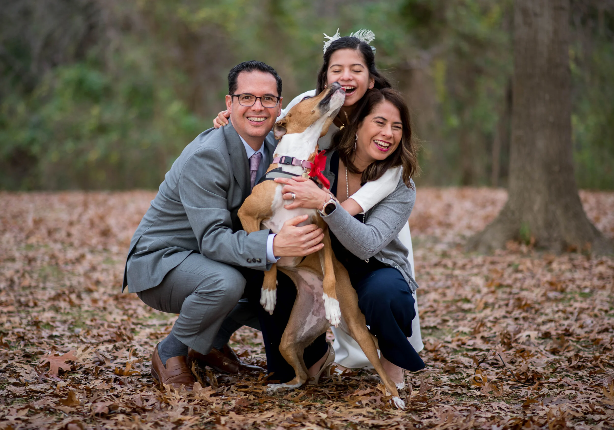 family photos dallas richardson rdimages